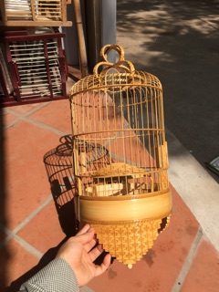 Lồng khuyên đục