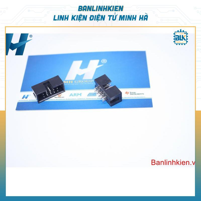 Đầu IDE10 Đực Thẳng 2.54MM
