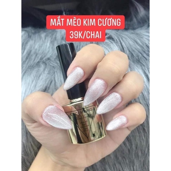 Mắt mèo kim cương vàng _ bạc , nam châm mắt mèo