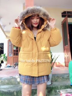 Phao đại hàn . Áo phao nữ