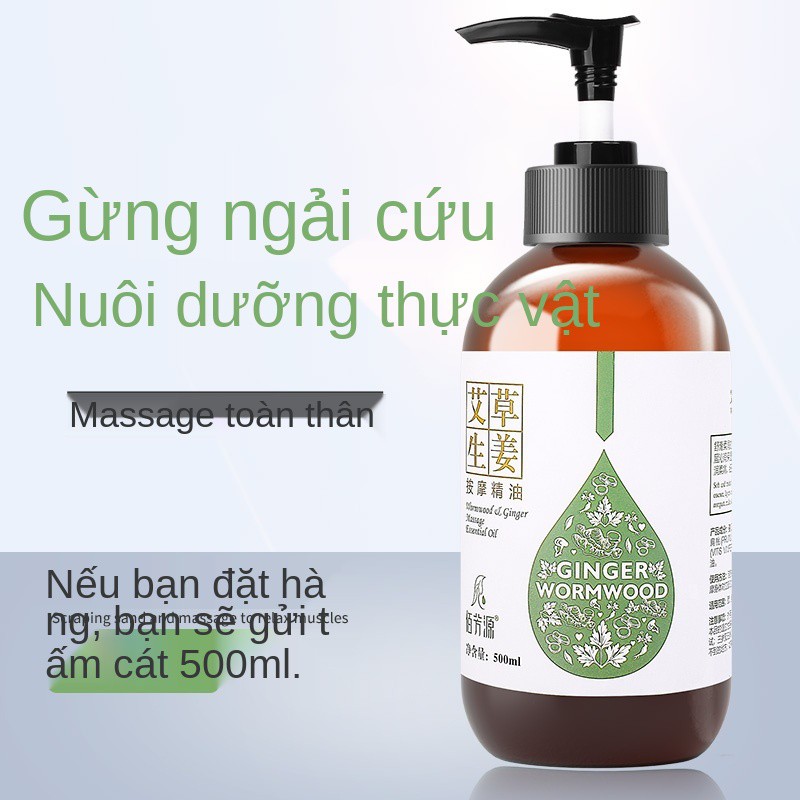 Tinh dầu gừng ngải cứu 500ml massage toàn thân, vai, cổ, mặt thông kinh lạc, lưng, kinh, đẩy