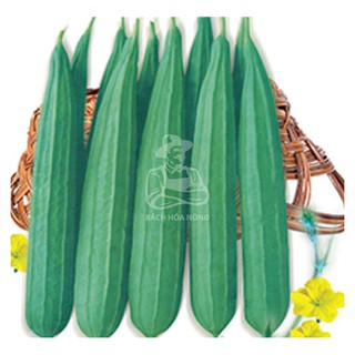 Hạt Giống Mướp Khía PHÚ NÔNG (1g)