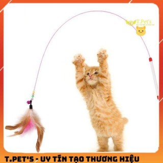 CẦN CÂU MÈO DÂY THÉP.