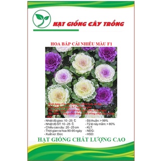 Hạt giống hoa bắp cải nhiều màu ct409 - gói 20 hạt