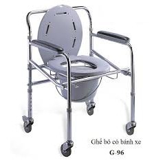 Ghế bô vệ sinh cho người già FS-696