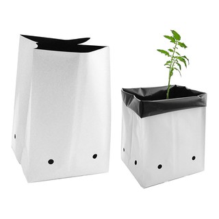 Túi PE Hai Lớp Trồng Cây Tiện Lợi 20*40 cm (1 túi)