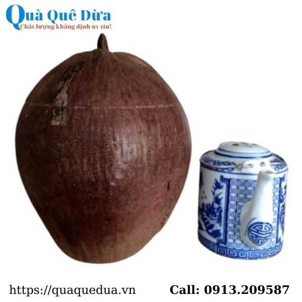 Vỏ Giữ Ấm Bình Trà Trái Dừa Không Sơn Và Bình Trà 850 - 950ml