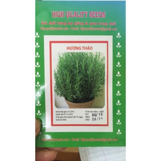 Hạt Giống Hương Thảo