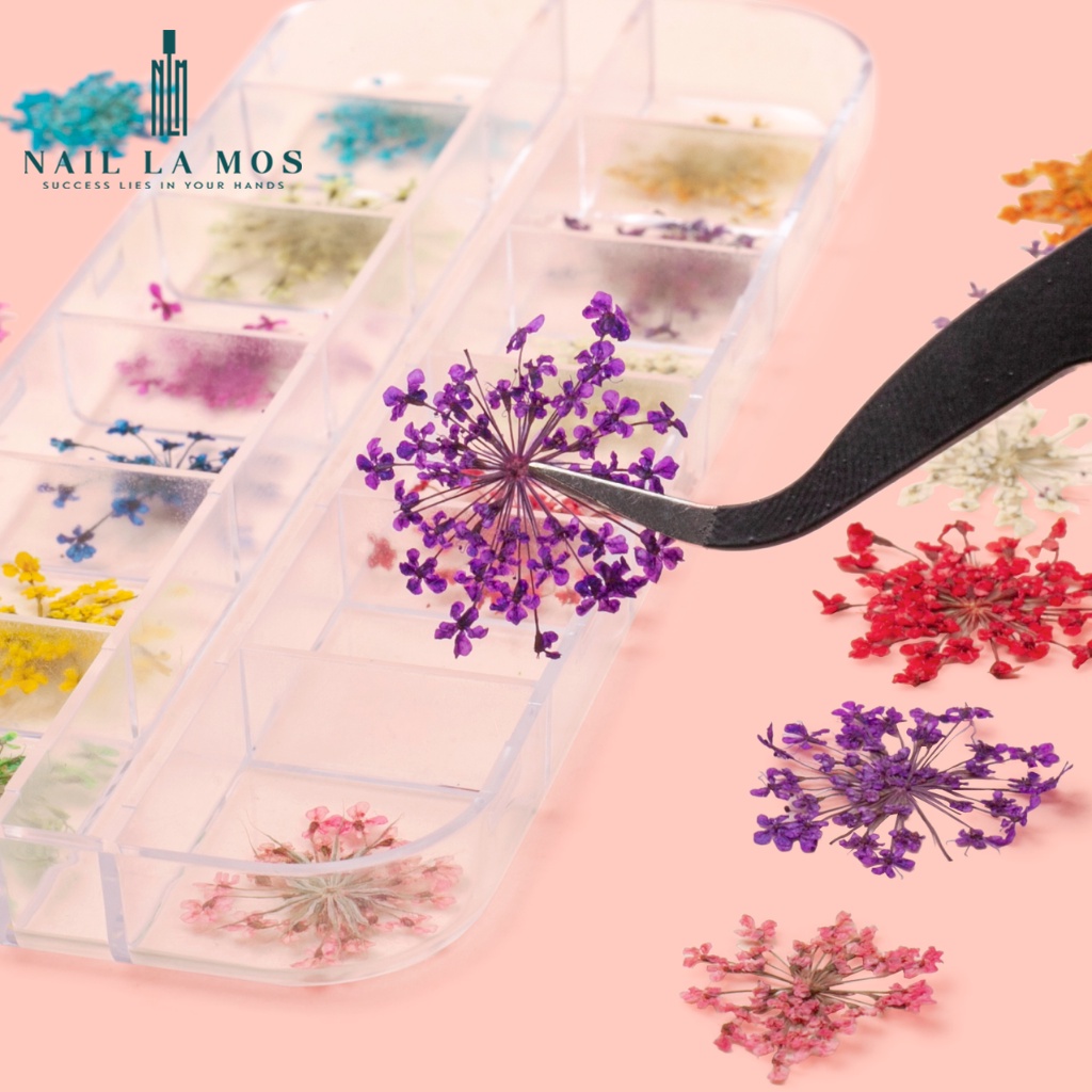 Hoa khô trang trí móng tay - Set 12 màu hoa chùm đắp gel ẩn phong cách Hàn Nhật