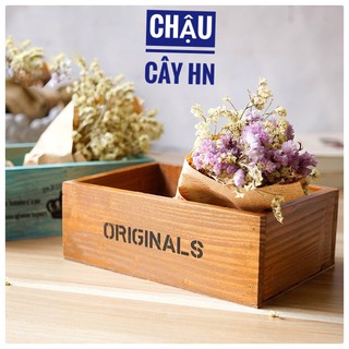 🔥Chậu gỗ Original trồng cây tiểu cảnh