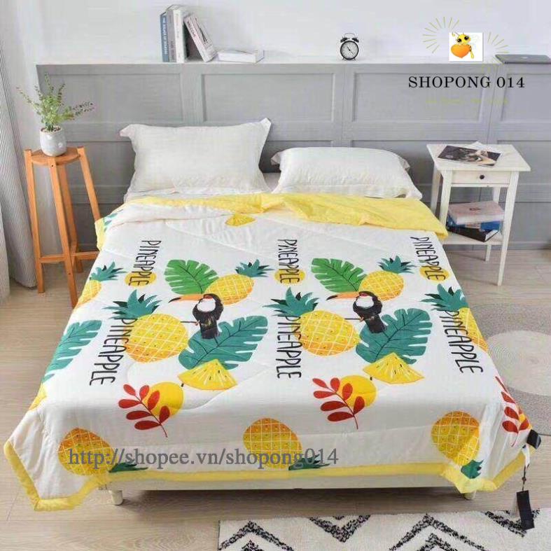 CHĂN ĐŨI ZARA* HỒNG CHIM VẠC HOT 2020