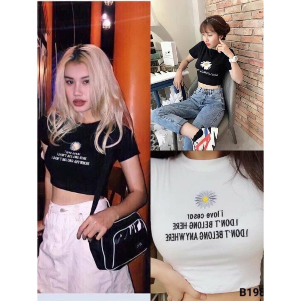 Áo Croptop Nữ In Hình Hoa Cúc Kèm Chữ ,Áo Phông Dáng Ngắn Cộc Tay 2 Màu B020