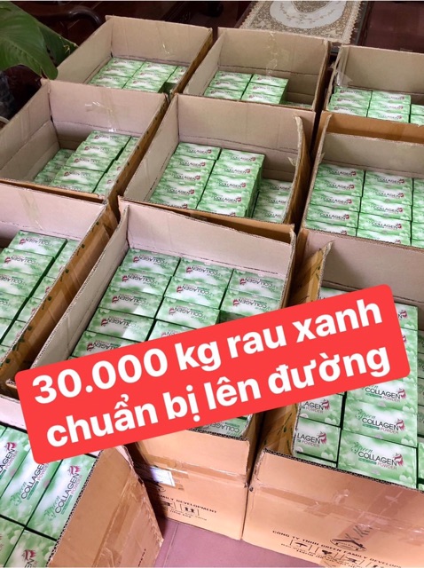 Diệp lục collagen tặng kèm chai pha 500ml | Thế Giới Skin Care