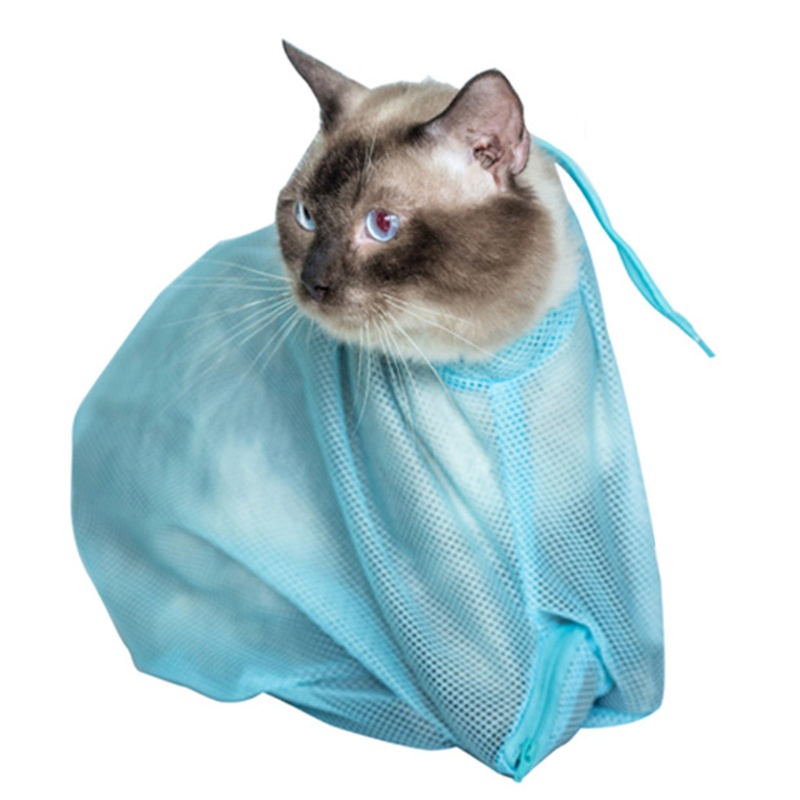 Túi Tắm Cho Mèo May Mắn Để Kiểm Tra Sự Nghỉ Ngơi Cho Salon Làm Đẹp