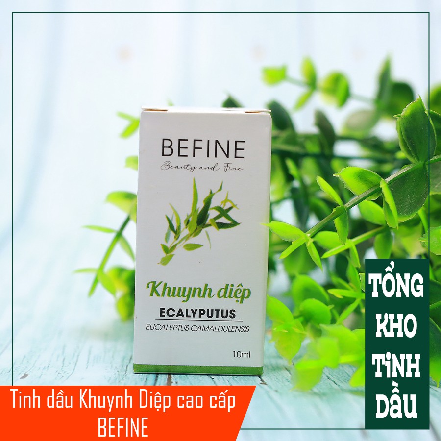Tinh dầu Khuynh Diệp Befine - Eucalyptus Essential Oil