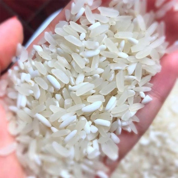 Gạo hữu cơ - Gạo séng cù mường khương đặc sản tây bắc hạt gạo to tròn thơm túi hút chân không an toàn thực phẩm