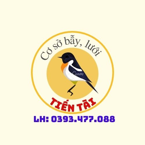 CƠ SỞ LƯỚI BẪY TIẾN TÀI