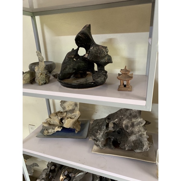 Đá tự nhiên trưng bày làm tiểu cảnh bonsai.kí cây