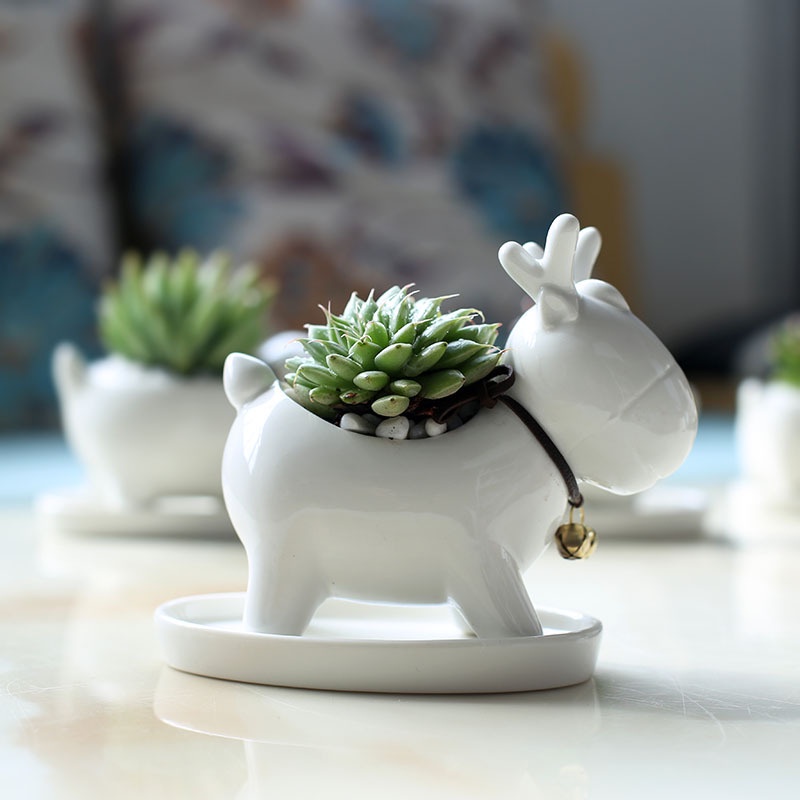 Chậu Trồng Cây Sen Đá, Xương Rồng Cây Mini Tuần Lộc Có Khay Lỗ Thoát Nước