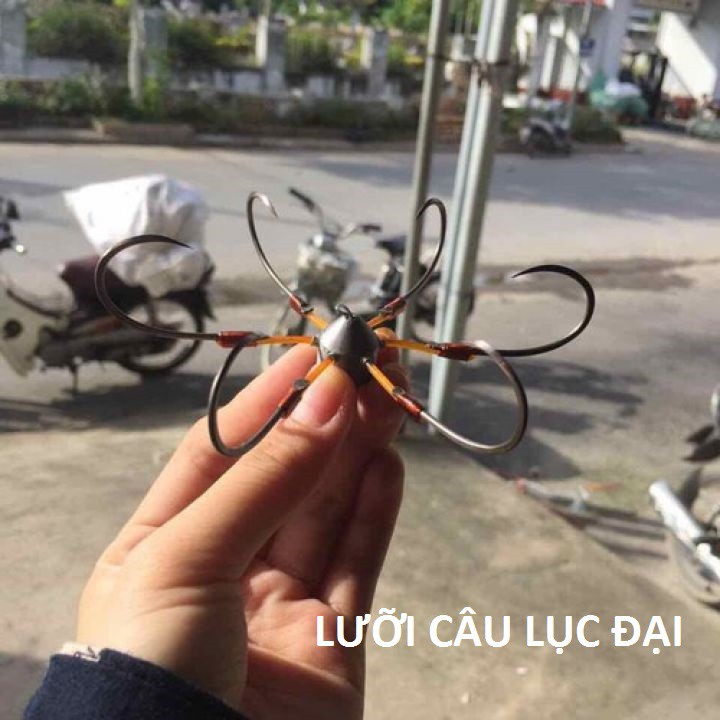 Lưỡi Câu Lục Đại số 14 và 16