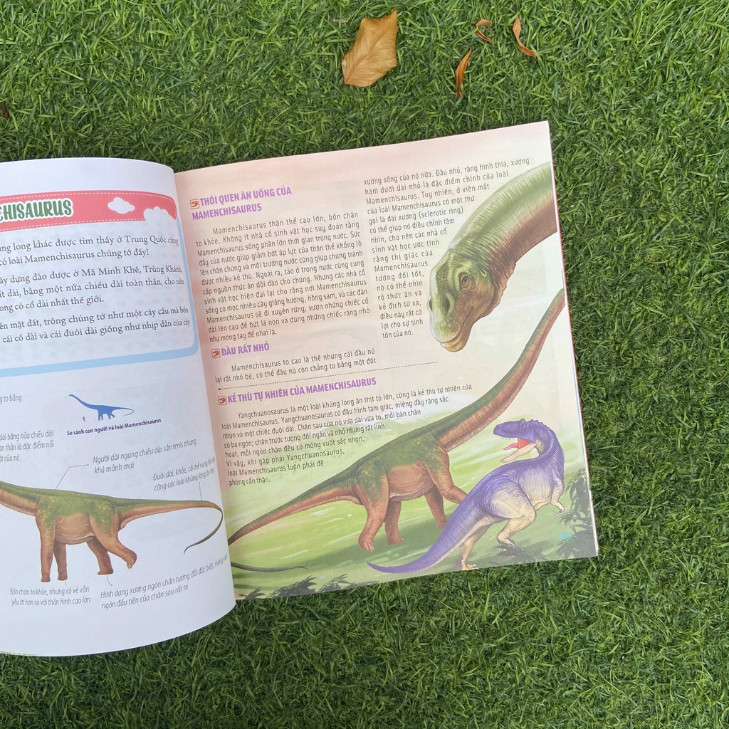 Sách: Combo 4 cuốn Bách Khoa Động Vật Dành Cho Trẻ Nhỏ: Thú Cưng + Côn Trùng + Khủng Long + Động Vật Tiền Sử  - TSTH