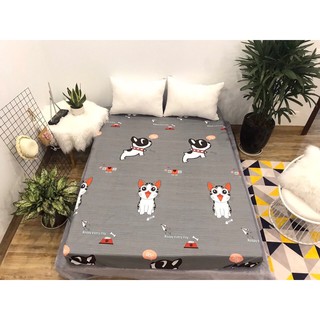 Ga chống thấm 100% cotton Hàn Quốc, ga cho trẻ em và người lớn tuổi, ga bảo vệ nệm