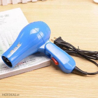Máy sấy lông chó mèo mini cute