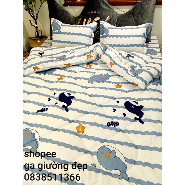 Bộ 5 món ga gối chăn phao cotton boly cao cấp