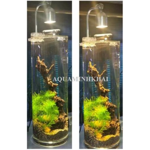 Đèn led rọi biotop XINMA 3 chế độ màu 5w, 7w bể thủy sinh, bể cá, bể cá mini