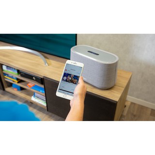Loa Harman Kardon Citation 300