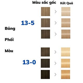 (Bill Đức) Tẩy Tóc Syoss Đức 13-0, 13-5 và thuốc nhuộm tóc