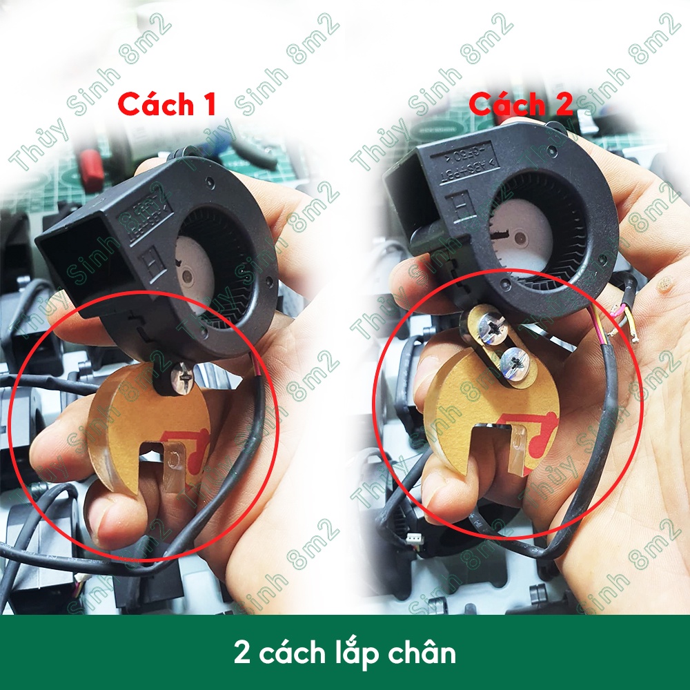 Quạt Sò Mini Siêu Mạnh 8m2 Làm Mát Hồ Thủy Sinh - Motor bạc đạn bền bỉ