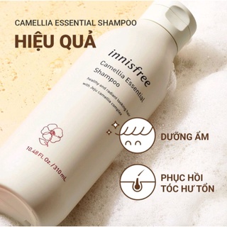 Dầu gội dưỡng tóc hoa trà innisfree Camellia Essential Shampoo 300ml