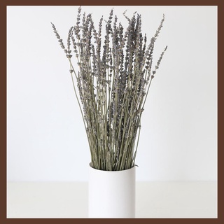LAVENDER🌸20 Cành Hoa Oải Hương Khô