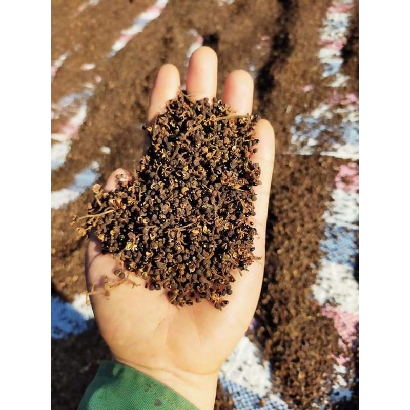 Mắc khén rừng khô [gói 1kg] hạt mắc khén gia vị đặc sản Tây Bắc