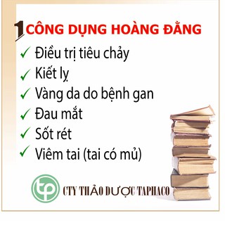 [Túi lớn 500gram giá tốt] Hoàng đằng khô - Thảo dược Tấn Phát