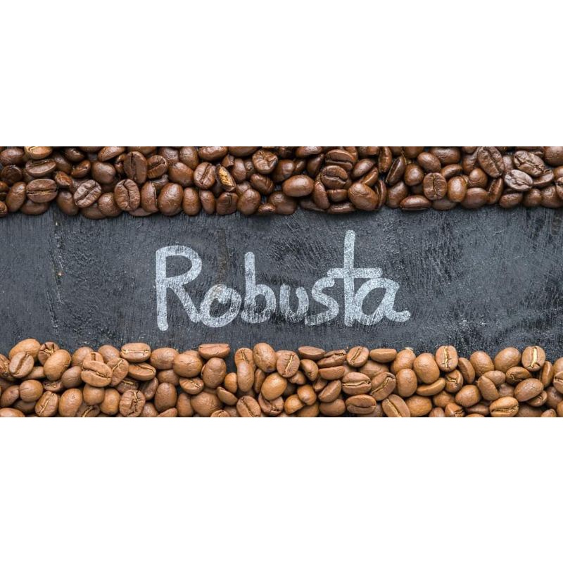 Cafe Robusta nguyên chất lựa chín Buôn Mê Thuột 500g