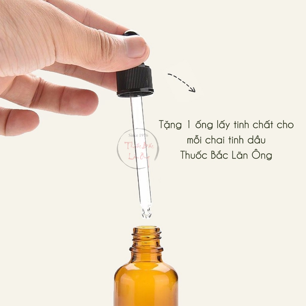 Tinh dầu Gừng nguyên chất 100ml, massage giảm mỡ bụng, đùi, bắp tay, bắp chân hiệu quả - Thuốc bắc lãn ông