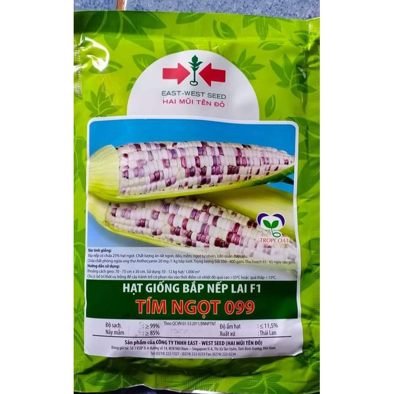 [100gram] Hạt giống Ngô Nếp Lai F1 Tím Ngọt 099 - Hai Mũi Tên Đỏ