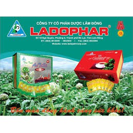 Trà Atiso Ladophar túi lọc hộp 200g (100 gói) mẫu mới