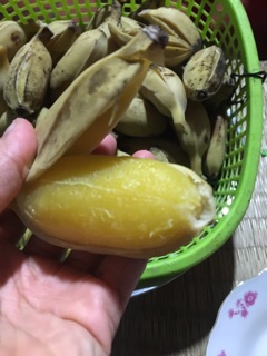1kg chuối sáp nghệ bến tre
