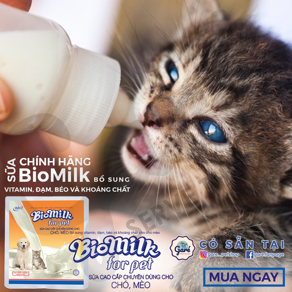 SỮA BỘT CAO CẤP BIOMILK CHUYÊN DÙNG CHO CHÓ MÈO