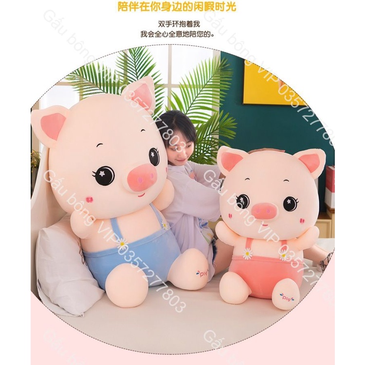 Gấu bông heo mặt yếm hoa mai, heo bụng bự, gấu nhồi bông Dễ Thương, heo bông cute cho bé