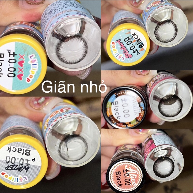 Lens không độ Đen + khay đơn