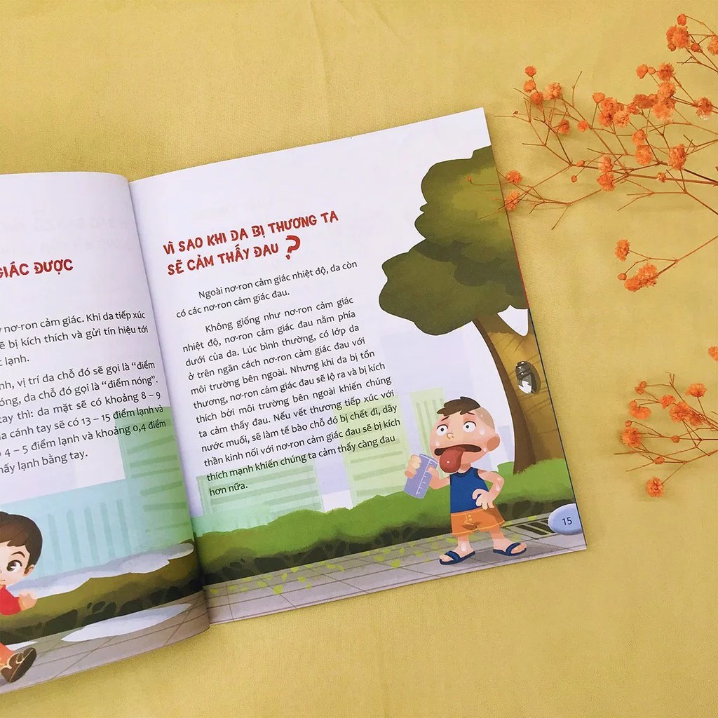 Sách - COMBO: Hỏi nhỏ biết to ( 8 CUỐN )
