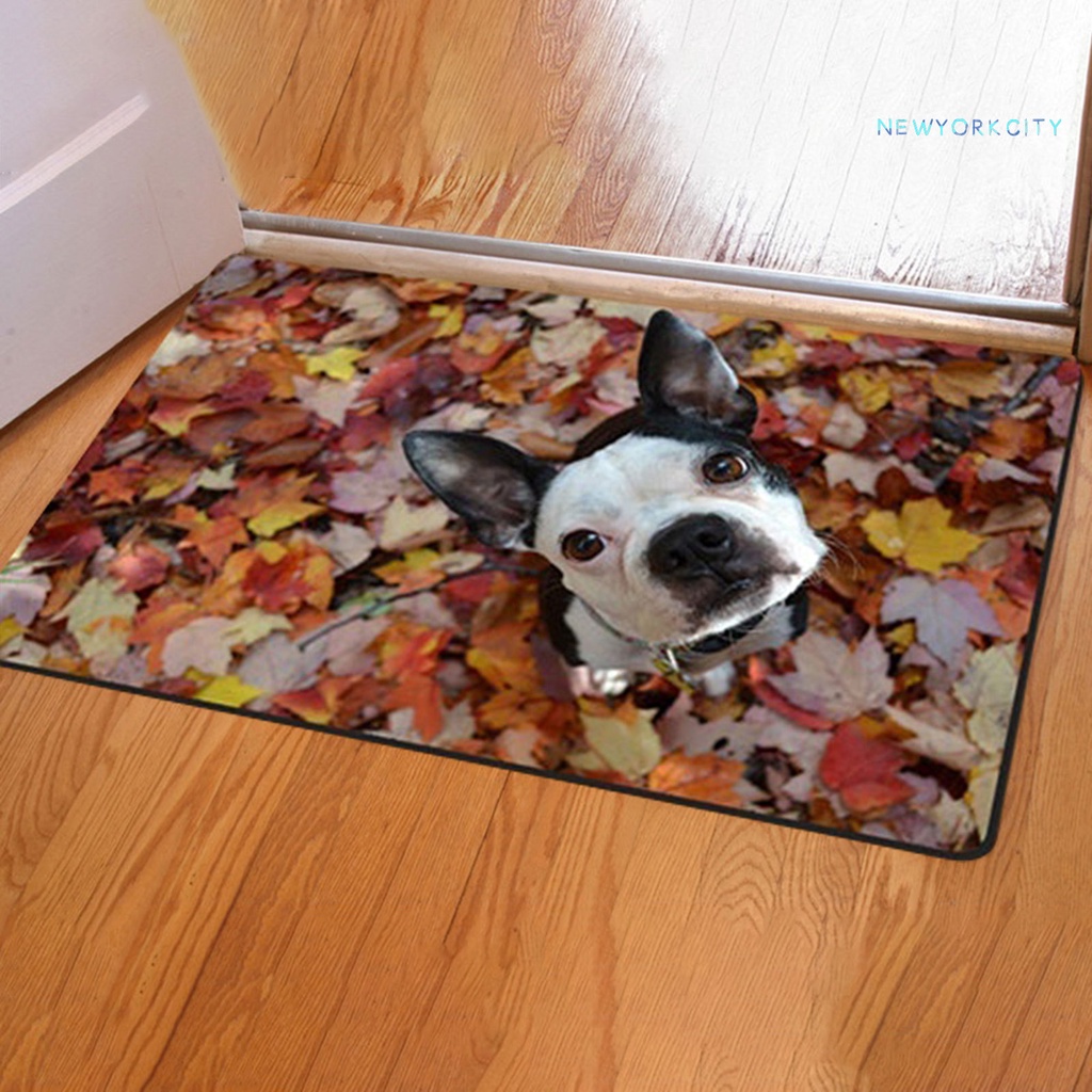 Thảm lót cửa chùi chân Chống Trượt In Hình Chú Chó Hiệu Ứng 3D