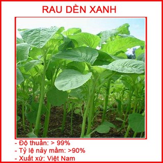 1000 Hạt Giống Rau Dền Xanh M005