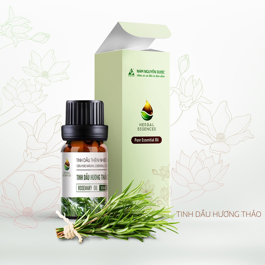 Tinh dầu Hương thảo nguyên chất - Rosemary Essential (10ml) NAM NGUYÊN DƯỢC