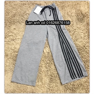 Combo5 quần od cho khách