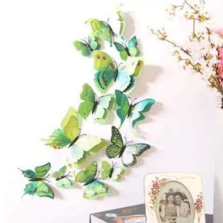 Bướm 3D( 2 lớp cánh)